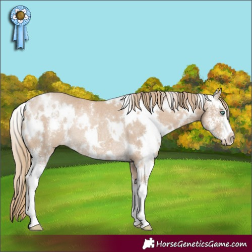 Horse Color:White Spotted Smoky Creme Sabino Rabicano 
