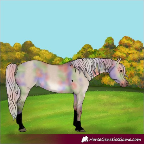 Horse Color:Void Nacre Silver Brown Dun Tobiano 