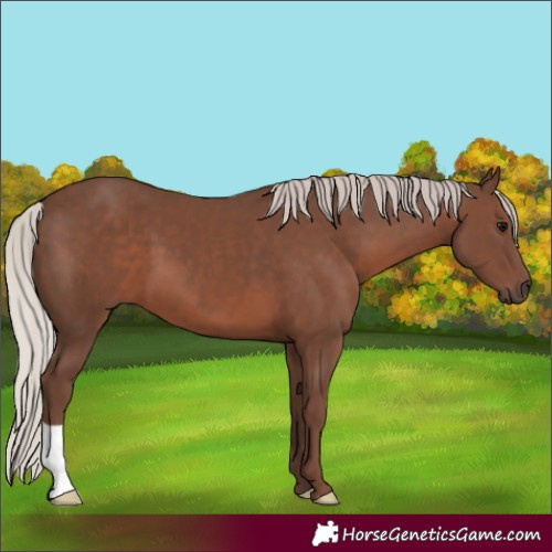 Horse Color:Silver Black
