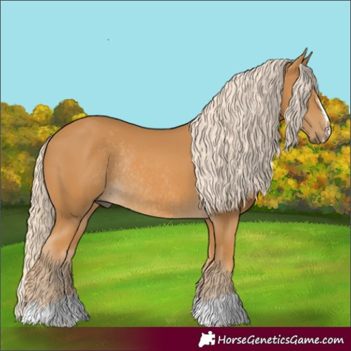 Horse Color:Palomino Rabicano 