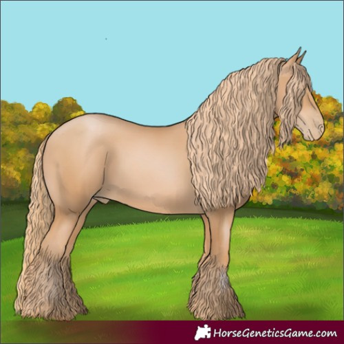 Horse Color:Chestnut Pearl