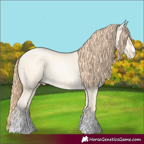 Horse Color:Classic Cream Champagne Pearl Dun