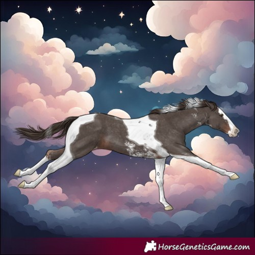 Horse Color:Liver Chestnut Sabino Splash Tobiano Varnish 