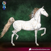 Horse Color:Amber Champagne Pearl Near Leopard