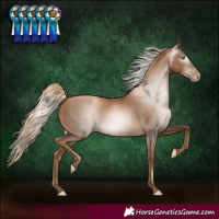 Horse Color:Gray White Spotted Chocolate Palomino Pearl