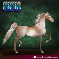 Horse Color:Gray White Spotted Chocolate Palomino Pearl