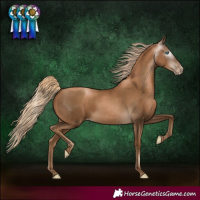 Horse Color:Gray White Spotted Chocolate Palomino Pearl 