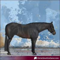 Horse Color:Brown 