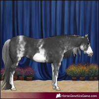 Horse Color:White Spotted Black Frame