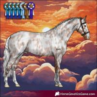 Horse Color:Silver Bay Roan Skewed Appaloosa