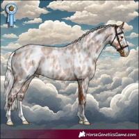 Horse Color:Silver Bay Roan Skewed Appaloosa