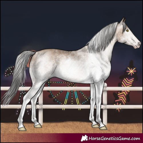 Horse Color:Gray White Spotted Amber Champagne 