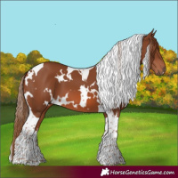 Horse Color:White Spotted Chestnut Tobiano 