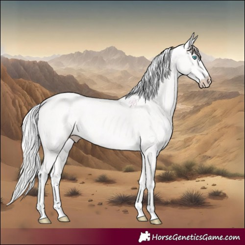 Horse Color:Cremello
