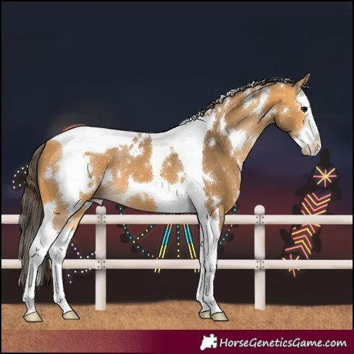 Horse Color:White Spotted Buckskin Splash Tobiano 