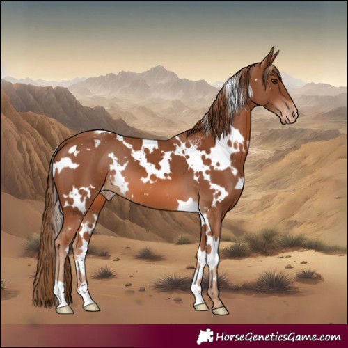 Horse Color:White Spotted Chestnut Varnish 
