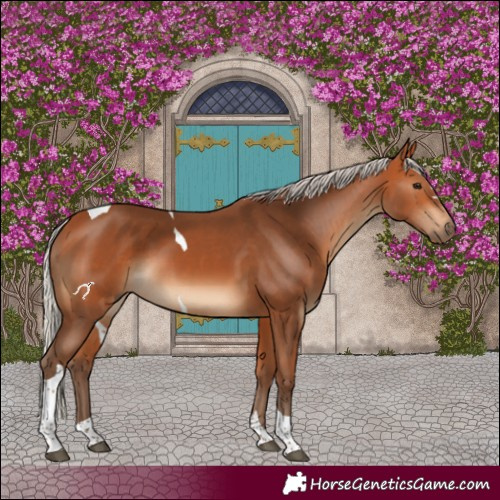 Horse Color:Silver Bay Tobiano