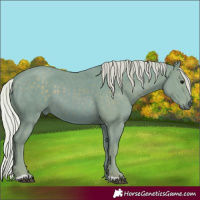 Horse Color:Watercolor Silver Black 