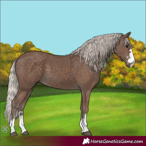Horse Color:Unknown 