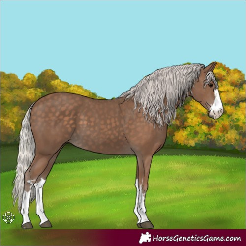 Horse Color:Silver Black 