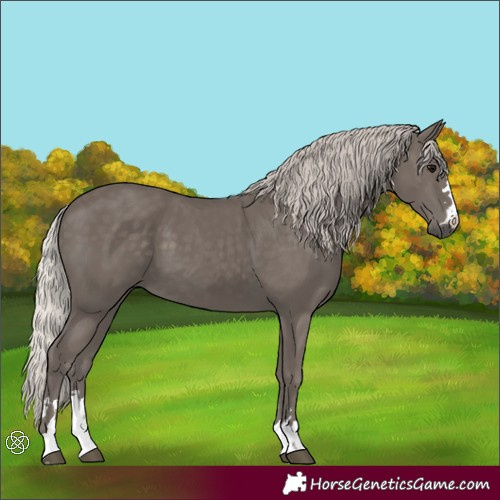 Horse Color:Silver Black
