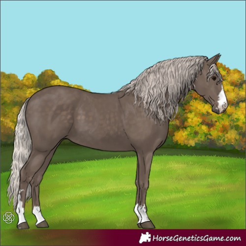 Horse Color:Silver Black 
