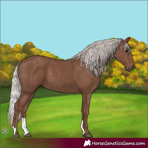 Horse Color:Silver Black 