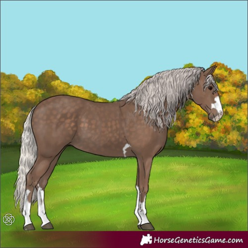 Horse Color:Silver Black 