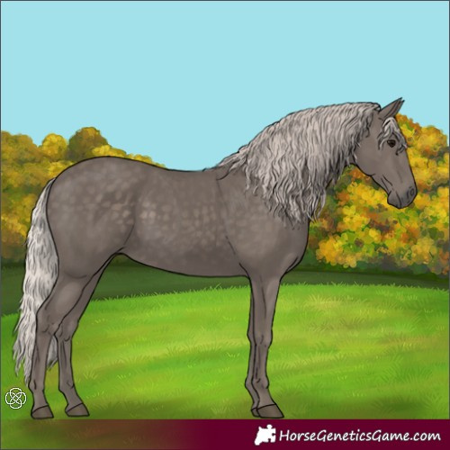 Horse Color:Silver Black 