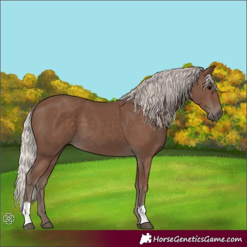 Horse Color:Silver Black 