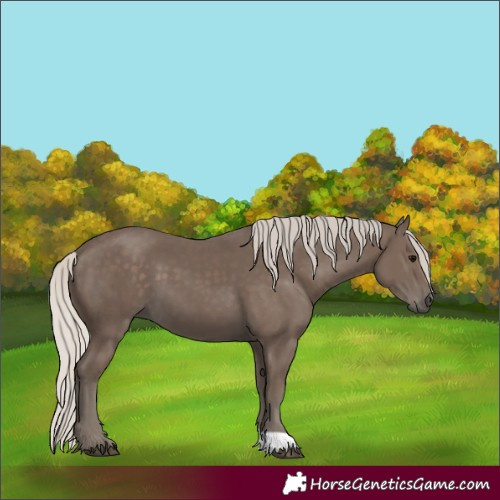 Horse Color:Silver Black 