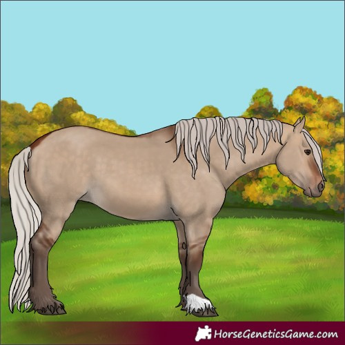 Horse Color:Silver Brown Dun