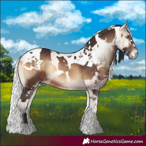 Horse Color:Brown Onyx Harlequin Merle 