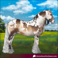 Horse Color:Brown Onyx Harlequin Merle