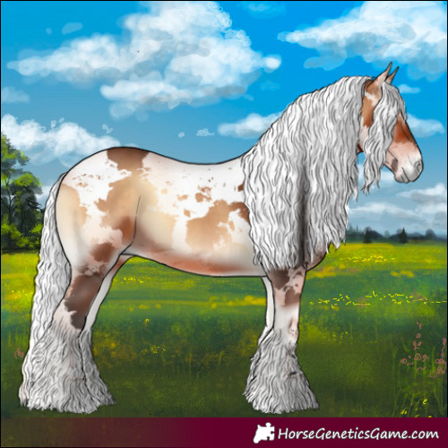 Horse Color:Bay Onyx Harlequin Merle 