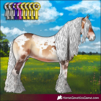 Horse Color:Bay Onyx Harlequin Merle