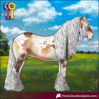 Horse Color:Bay Onyx Harlequin Merle