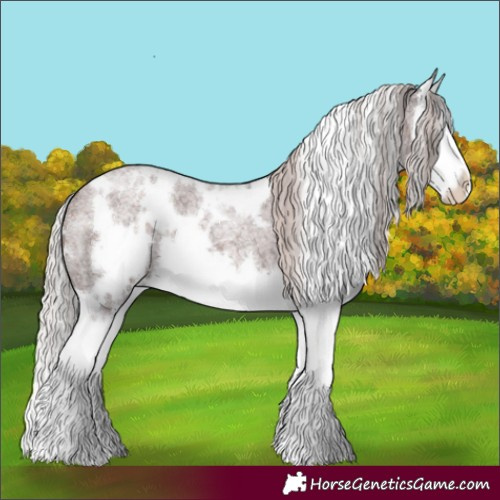 Horse Color:White Spotted Chocolate Silver Brown Roan Splash