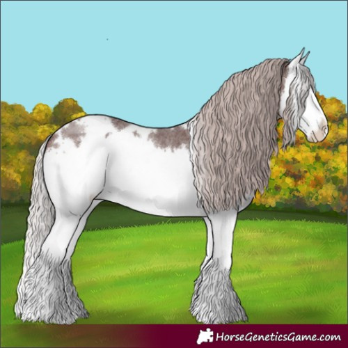 Horse Color:White Spotted Chocolate Silver Brown Roan Splash 