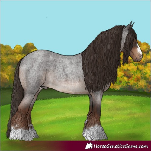 Horse Color:Liver Red Roan
