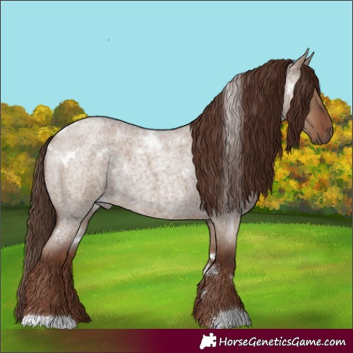 Horse Color:White Spotted Liver Red Dun Roan