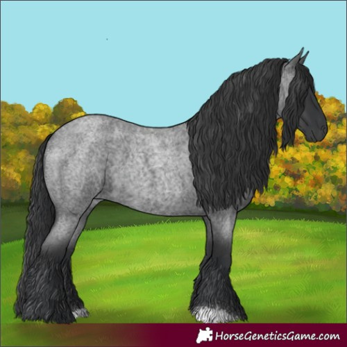 Horse Color:Blue Roan