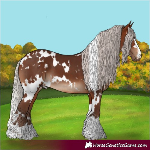 Horse Color:White Spotted Silver Bay