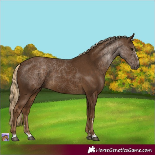 Horse Color:Chocolate Palomino