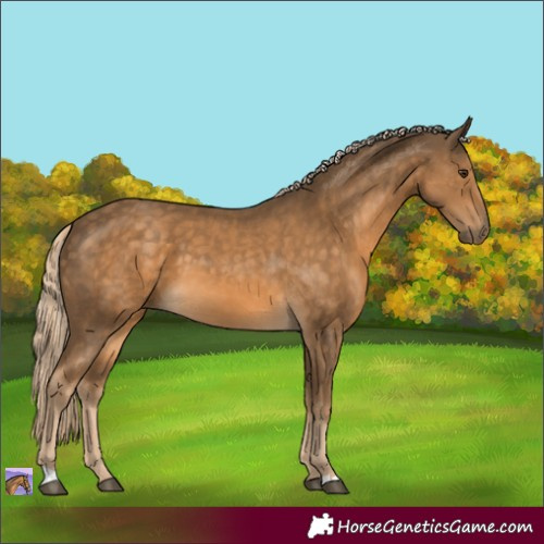 Horse Color:Chocolate Palomino
