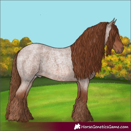 Horse Color:Red Roan