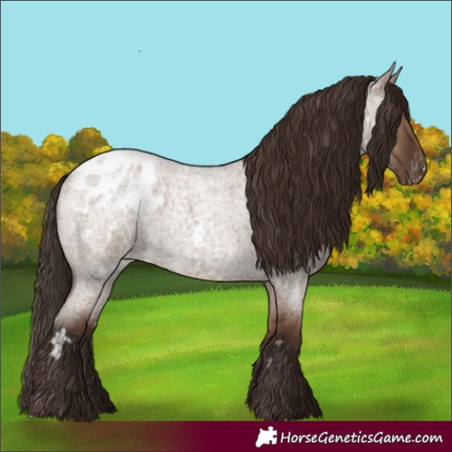 Horse Color:White Spotted Liver Red Dun Roan Appaloosa 