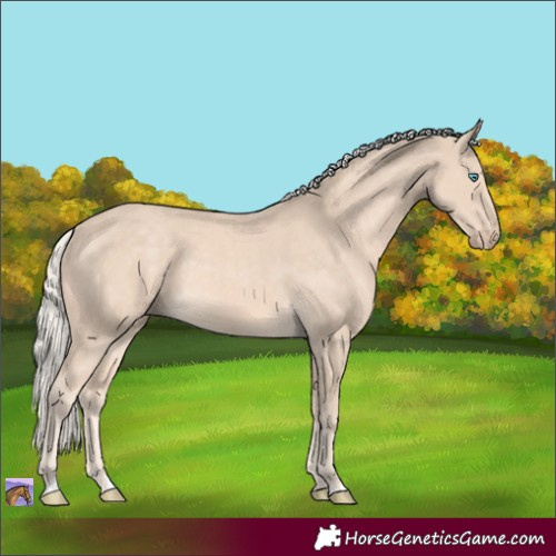 Horse Color:Cremello