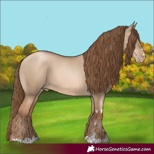 Horse Color:Liver Red Dun Pearl 