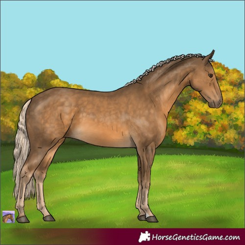 Horse Color:Chocolate Palomino
